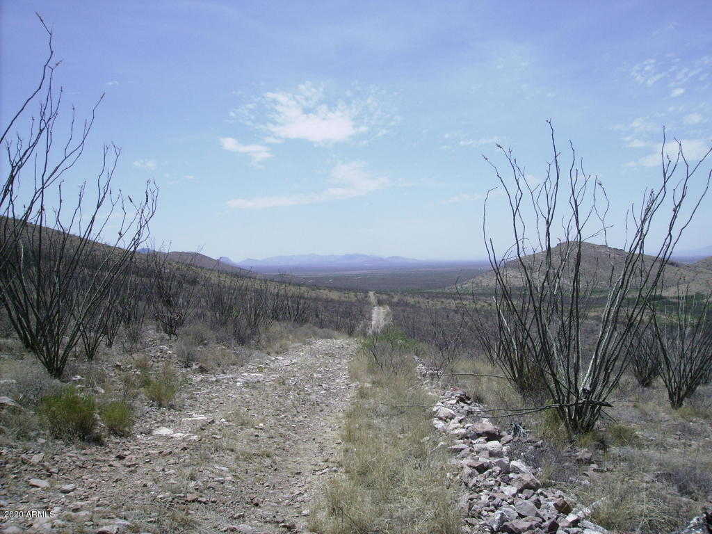 View Douglas, AZ 85607 land