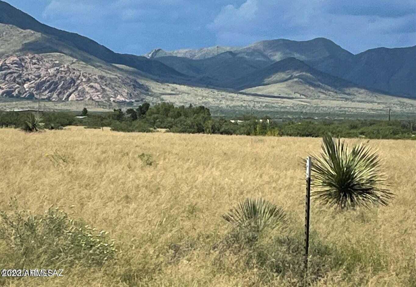 View Pearce, AZ 85625 land