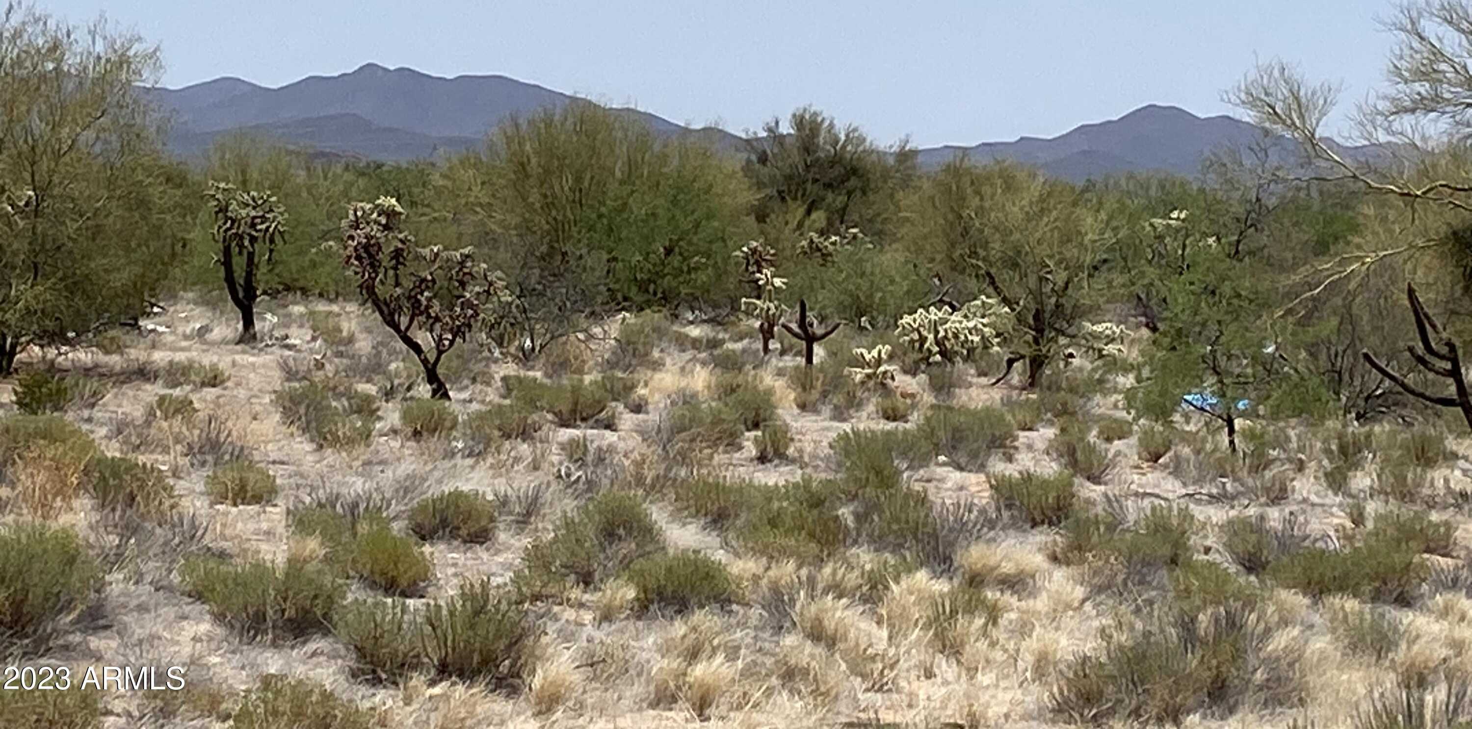 View Tucson, AZ 85736 property