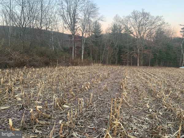 WEST SIDE OF STEIN ROAD