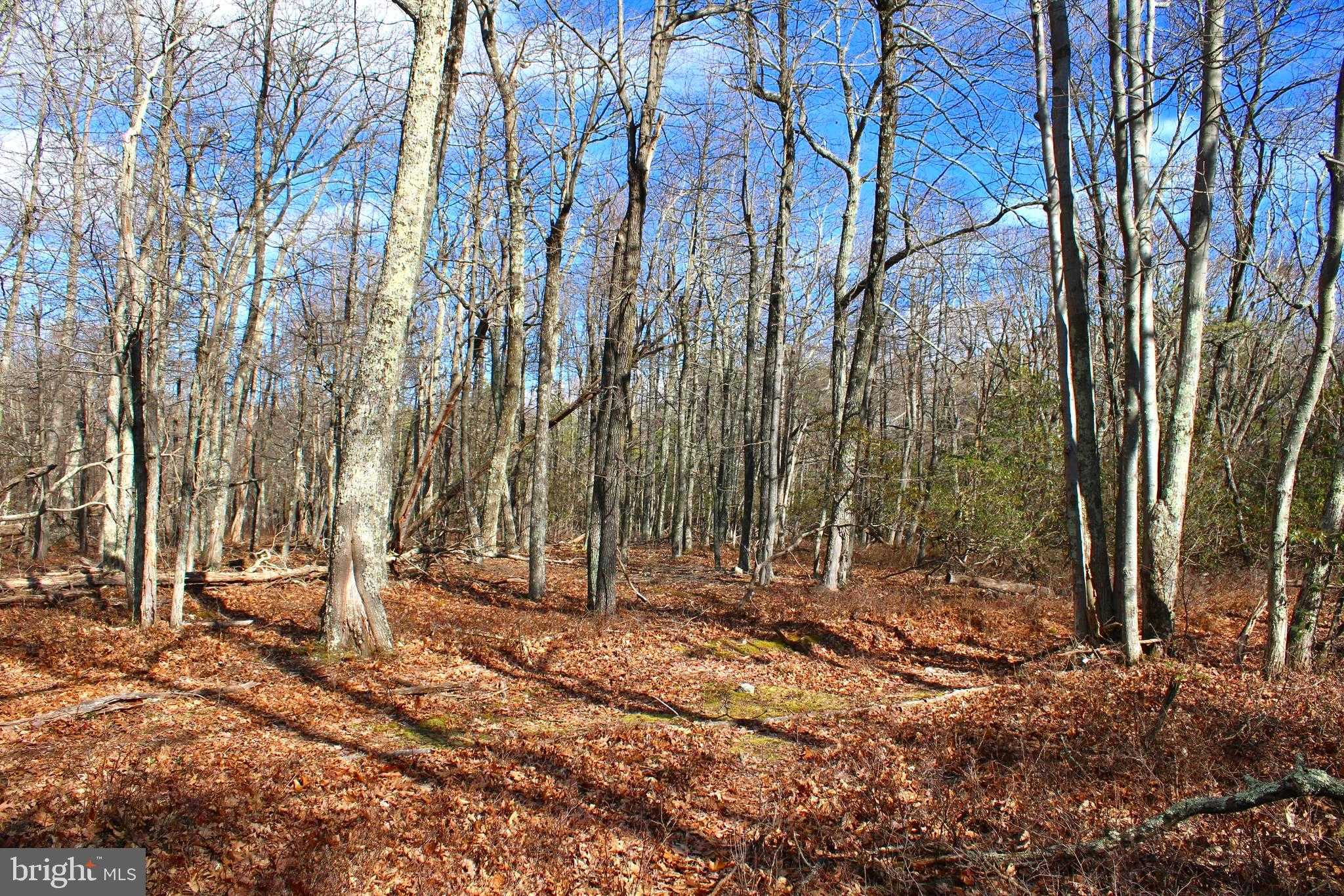 Photo 1 of 28 of Lot 270 SOUTH BRANCH MOUNTAIN RD land