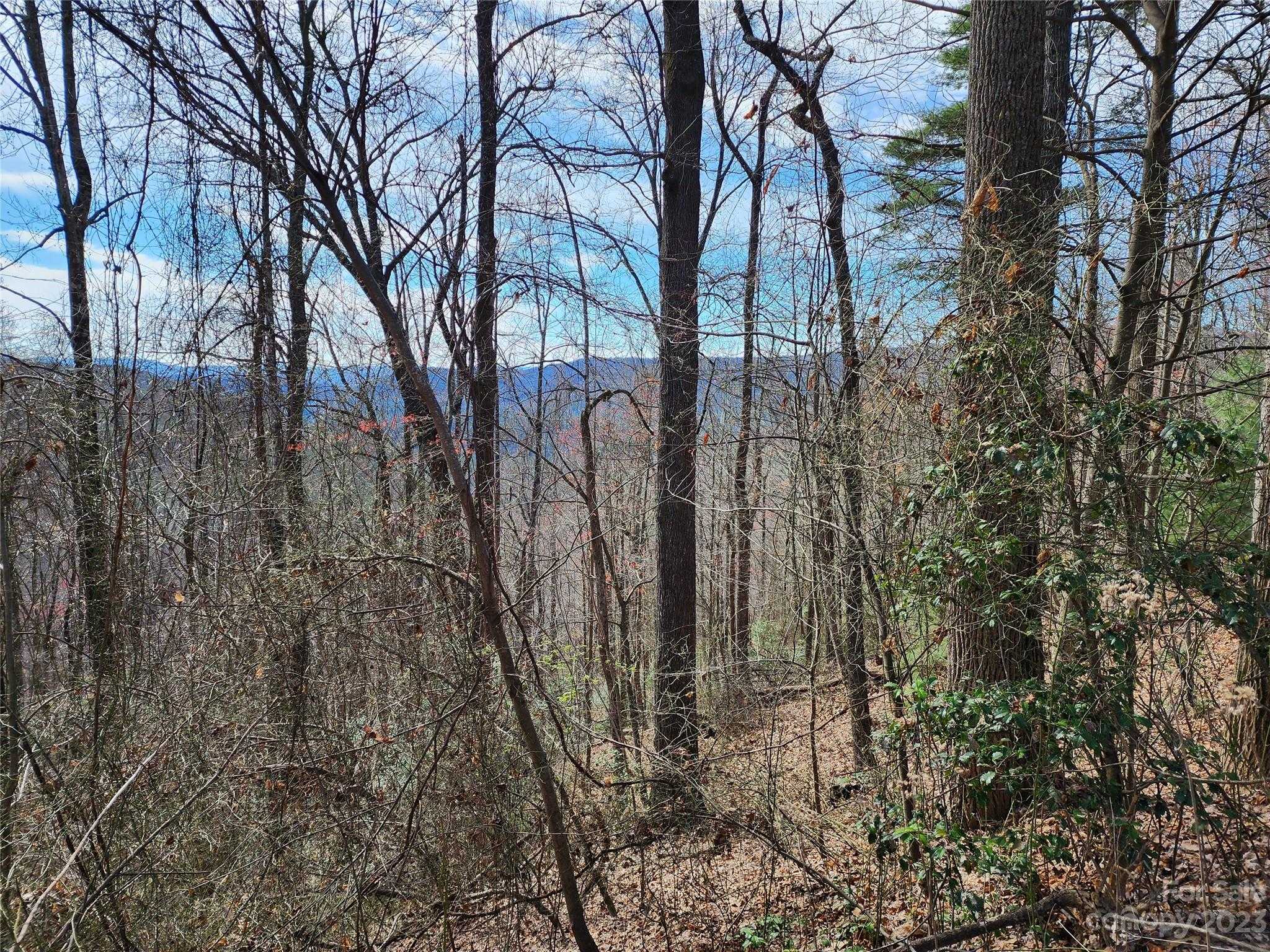 View Purlear, NC 28665 land