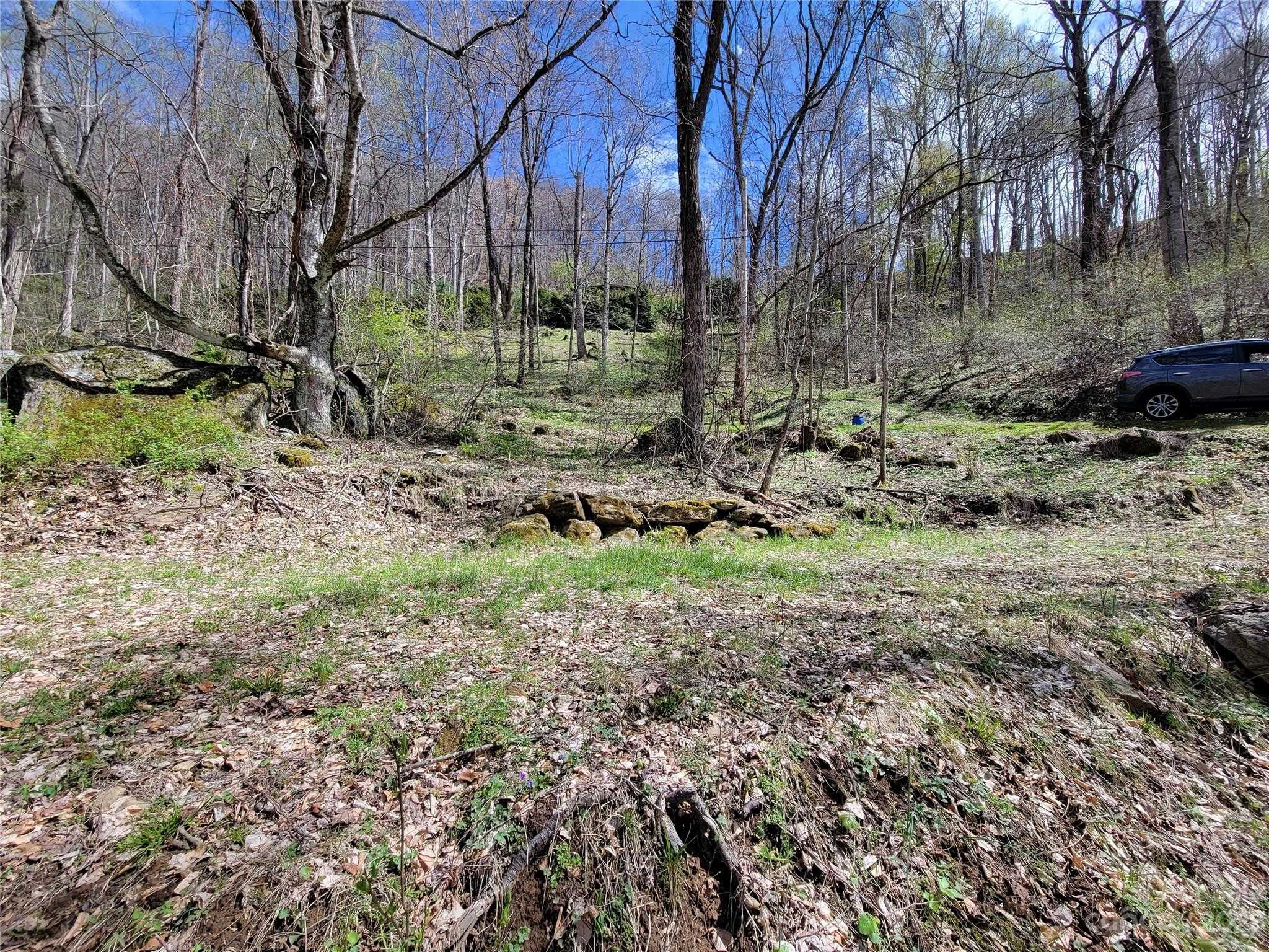 Photo 1 of 11 of 825 Mount Valley Road land