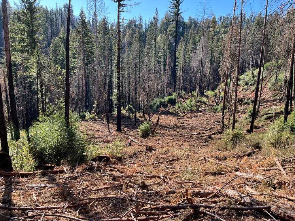 View Boulder Creek, CA 95006 property