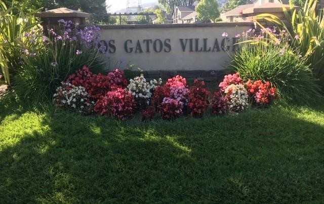 View Los Gatos, CA 95032 townhome