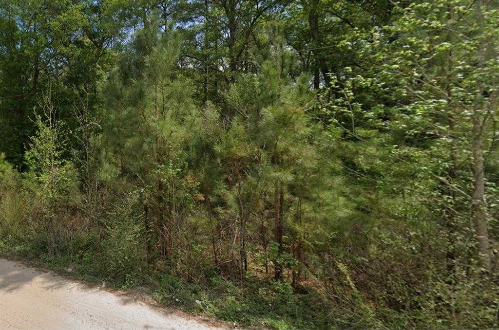 View New Caney, TX 77357 land
