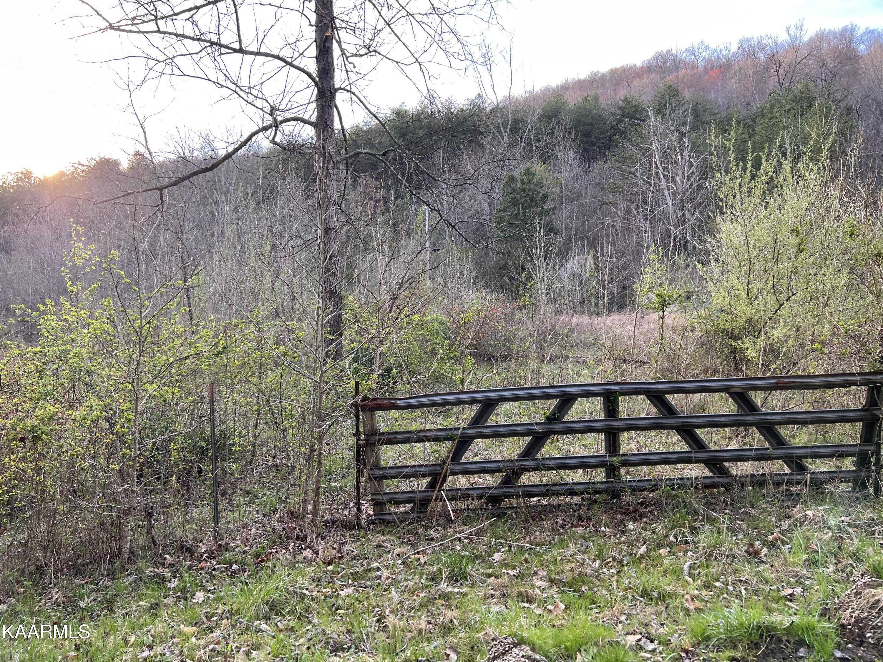 View Artemus, KY 40903 property