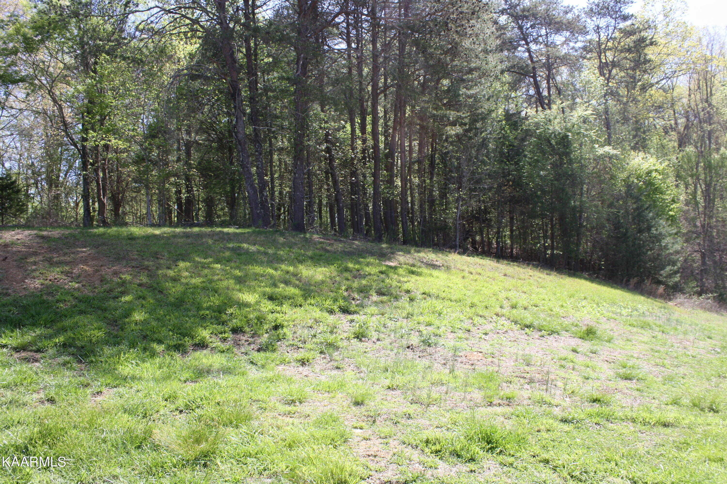 Photo 1 of 26 of Cove Springs Drive Drive land