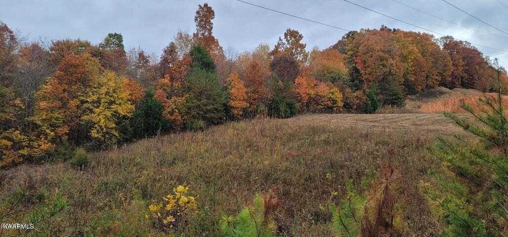 Photo 1 of 10 of 36.59 Ac River Rd land