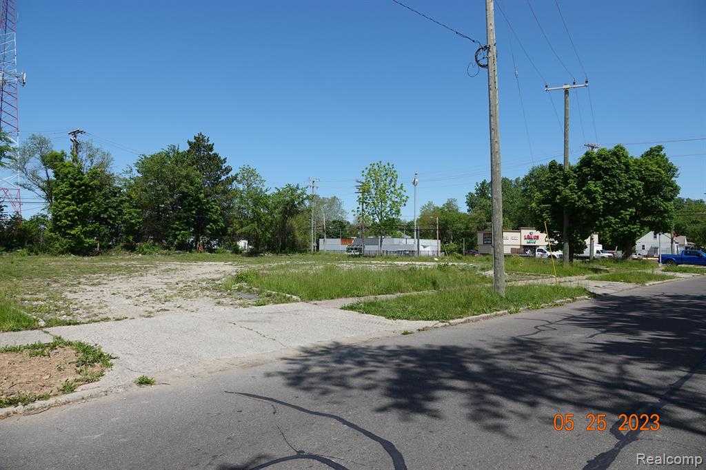 View Detroit, MI 48219 property