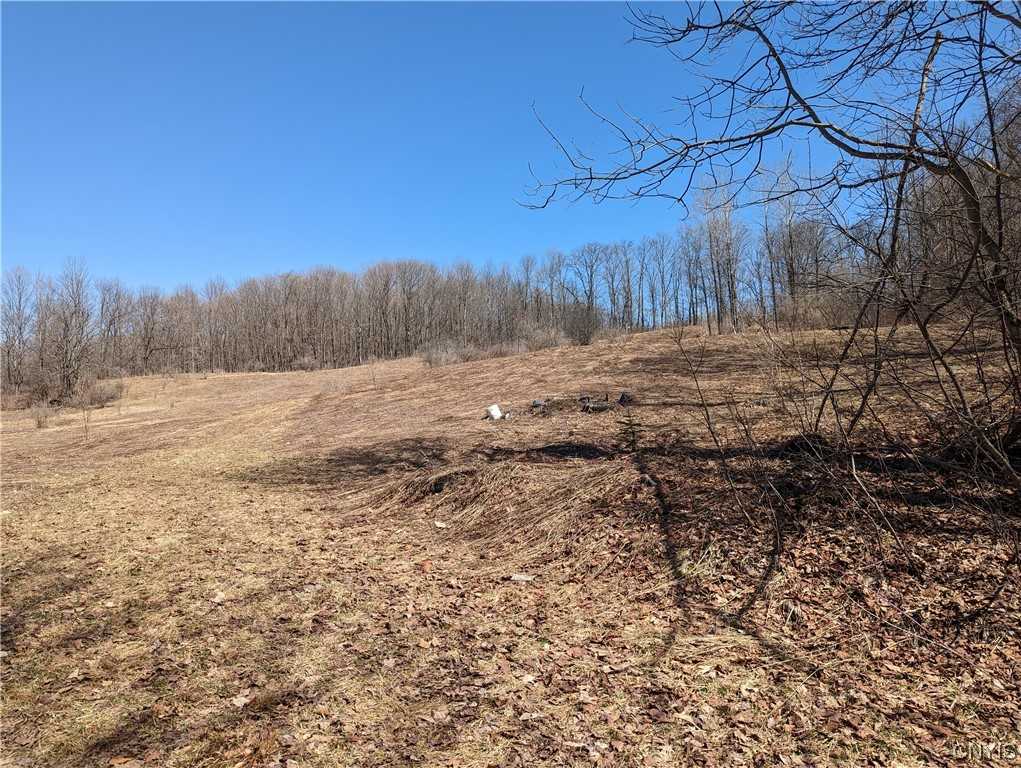 View Boonville, NY 13309 land