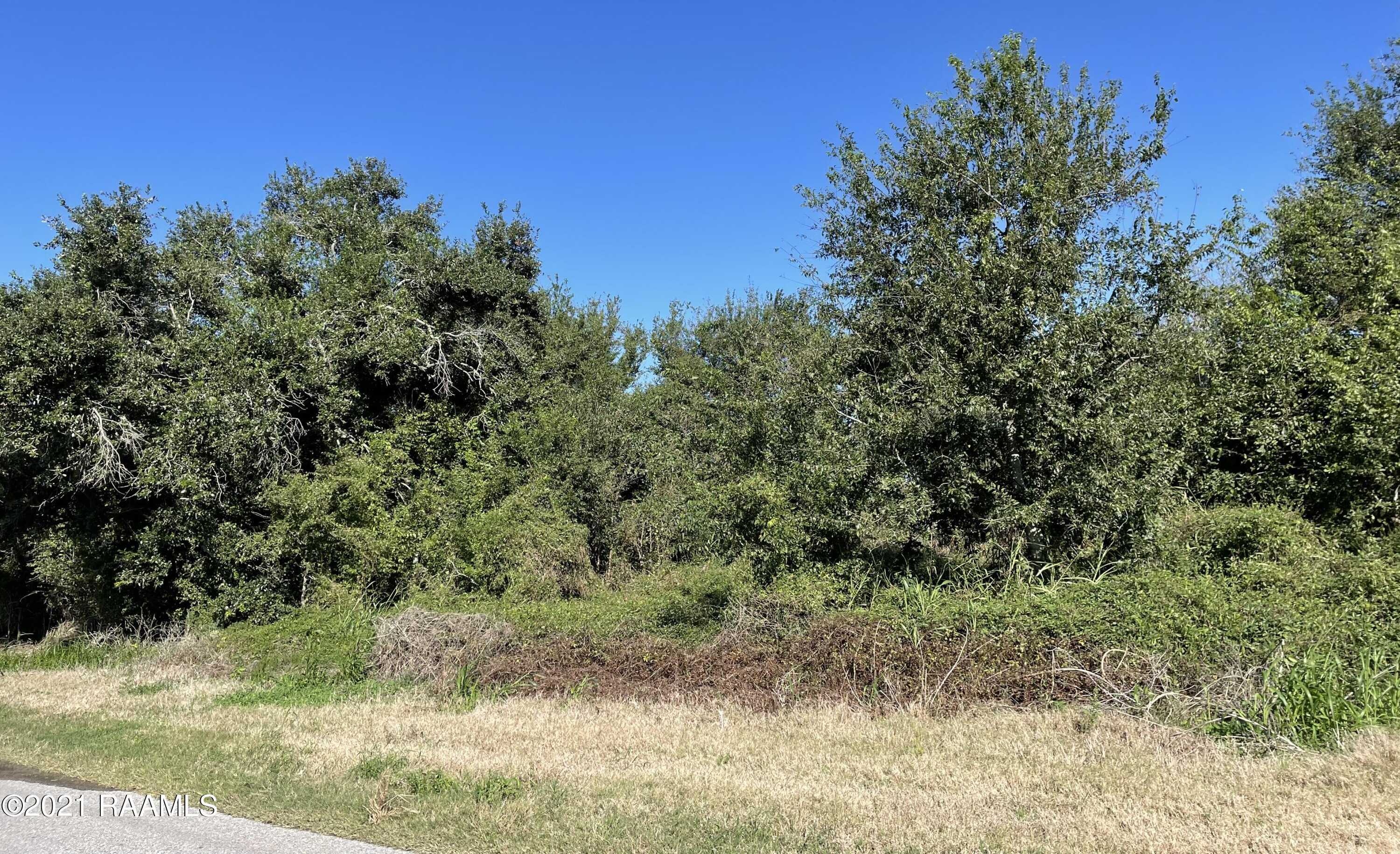 Front Ridge Road, Pecan Island, LA 70548