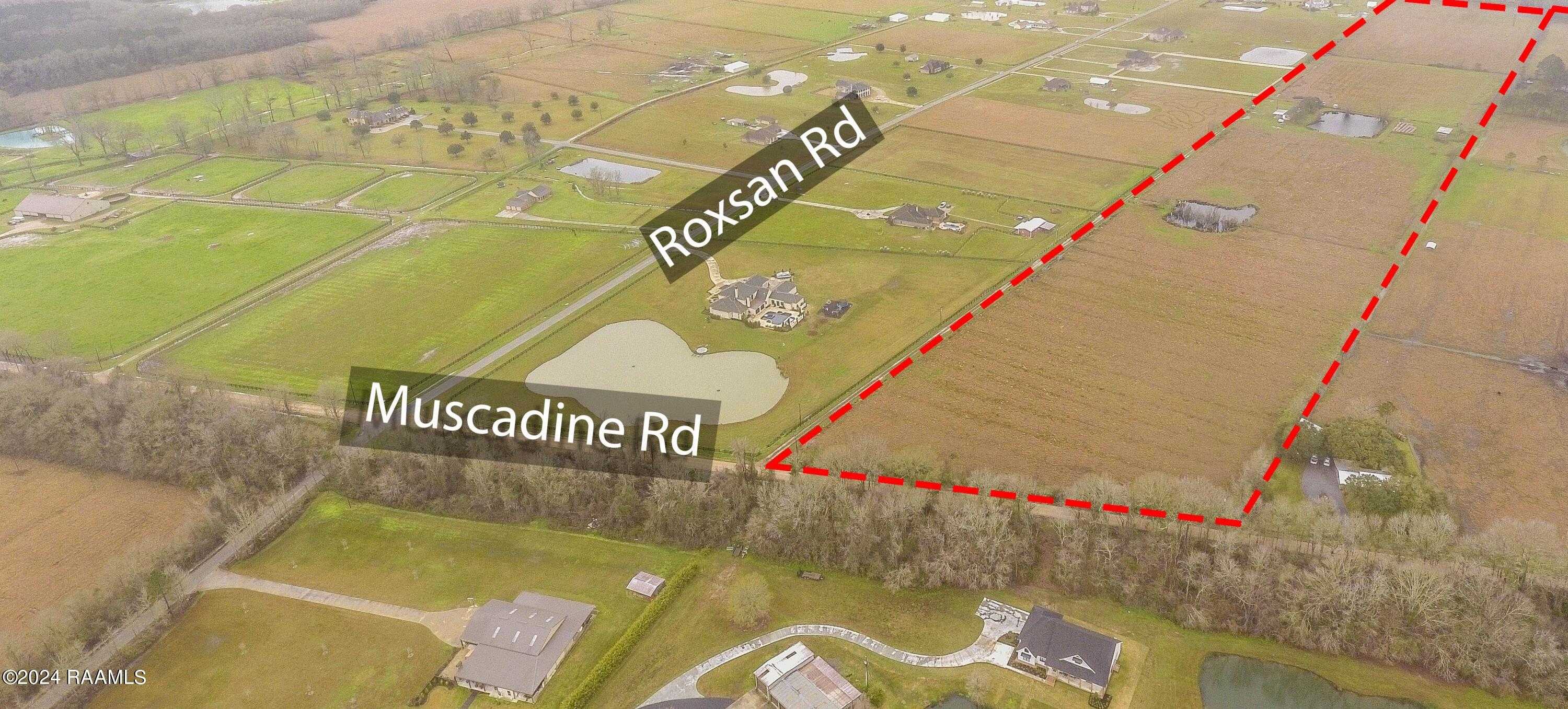 645 Muscadine Road, Sunset, LA 70584