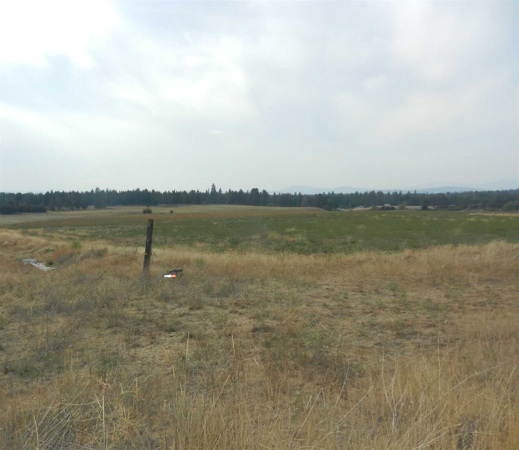 View Elk, WA 99009 property