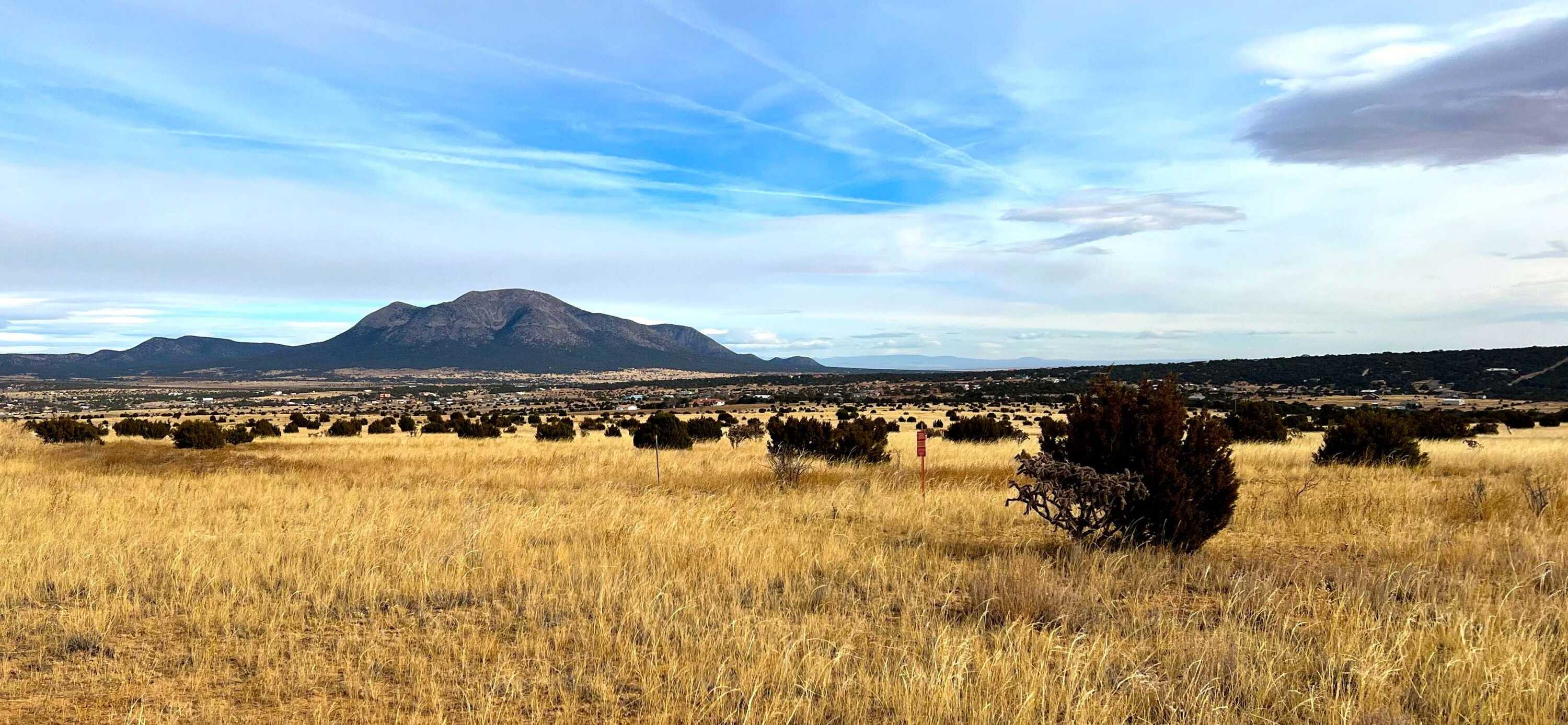 View Tijeras, NM 87059 land