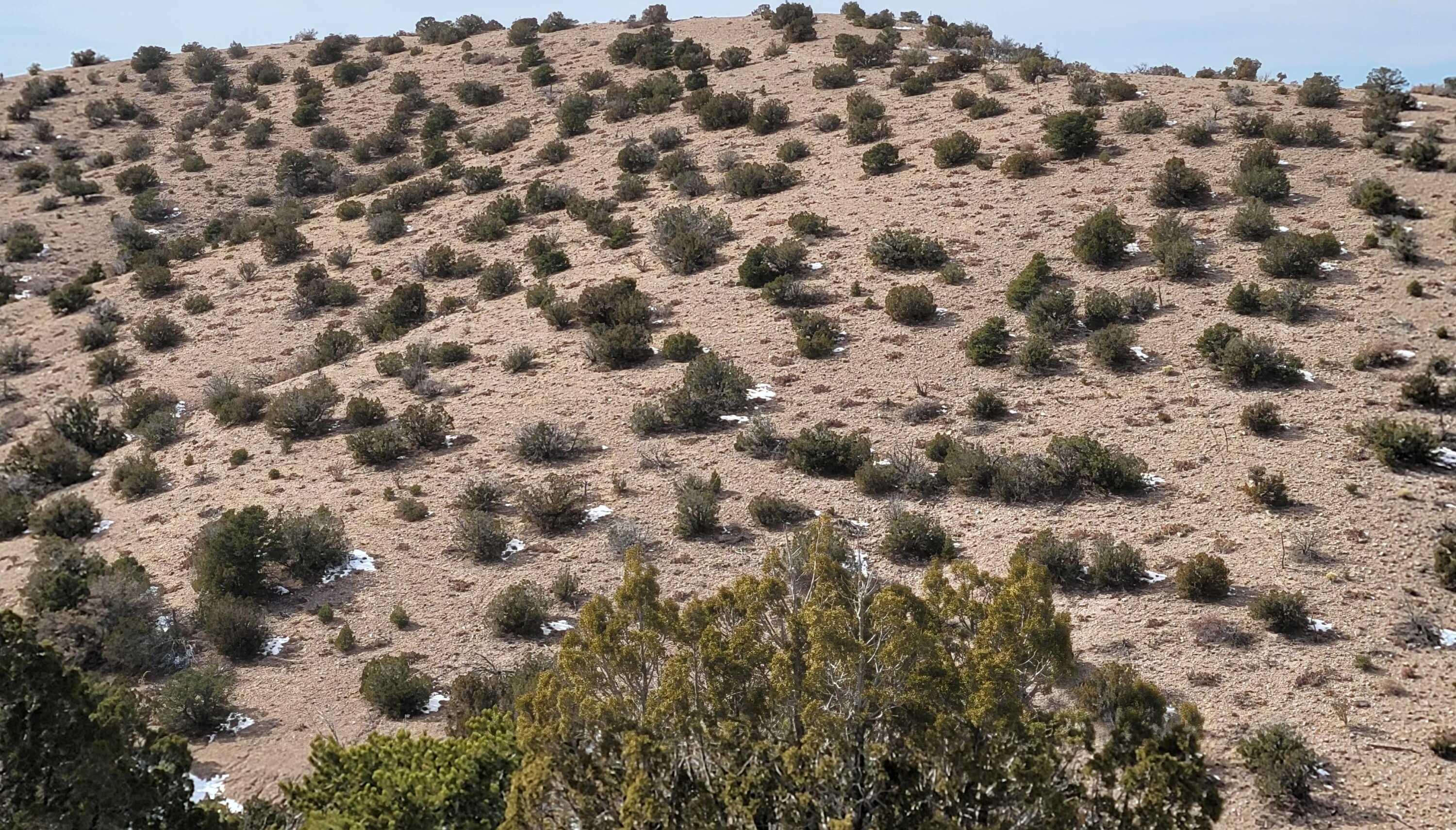 View Placitas, NM 87043 land