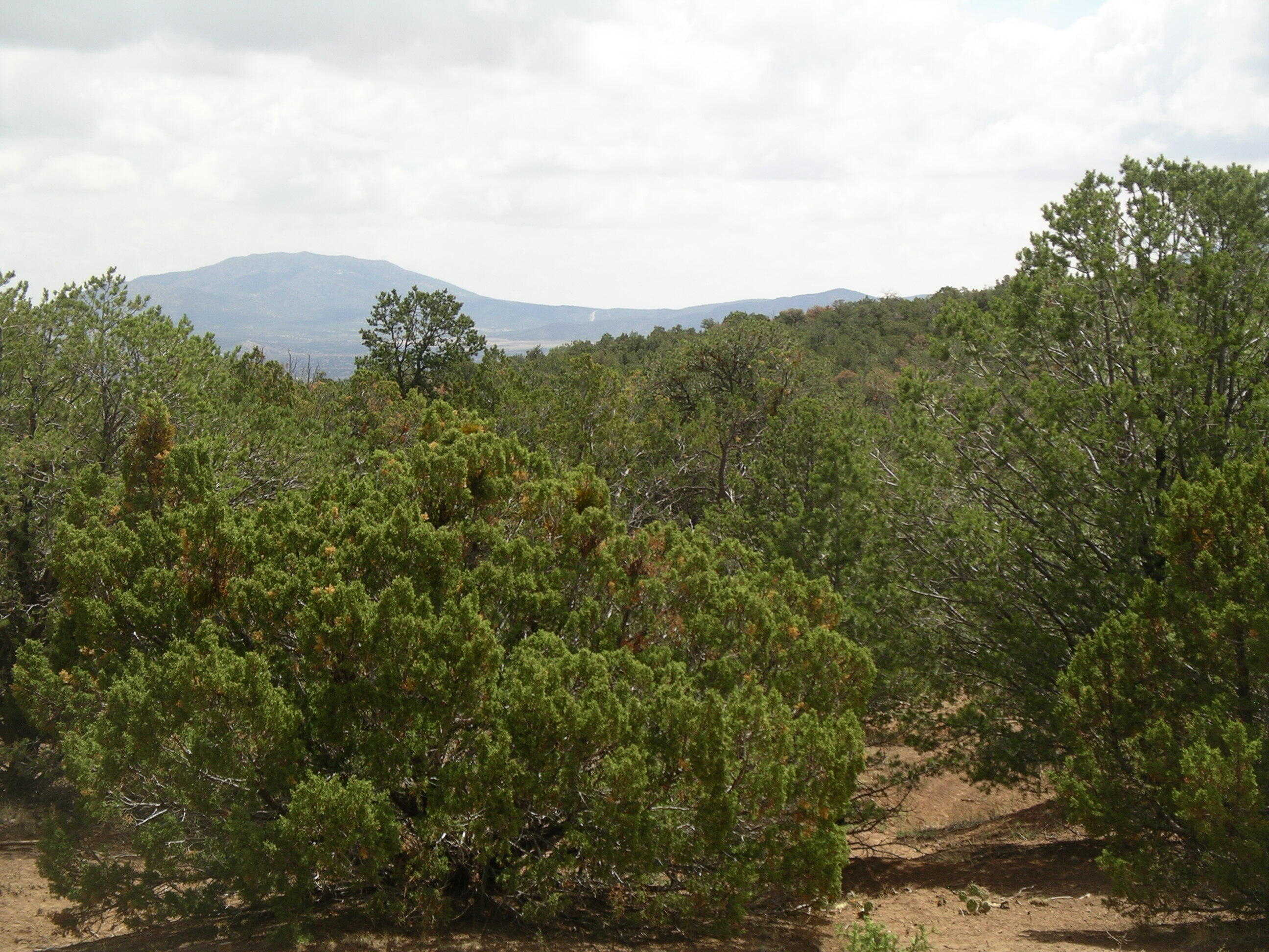 View Sandia Park, NM 87047 land