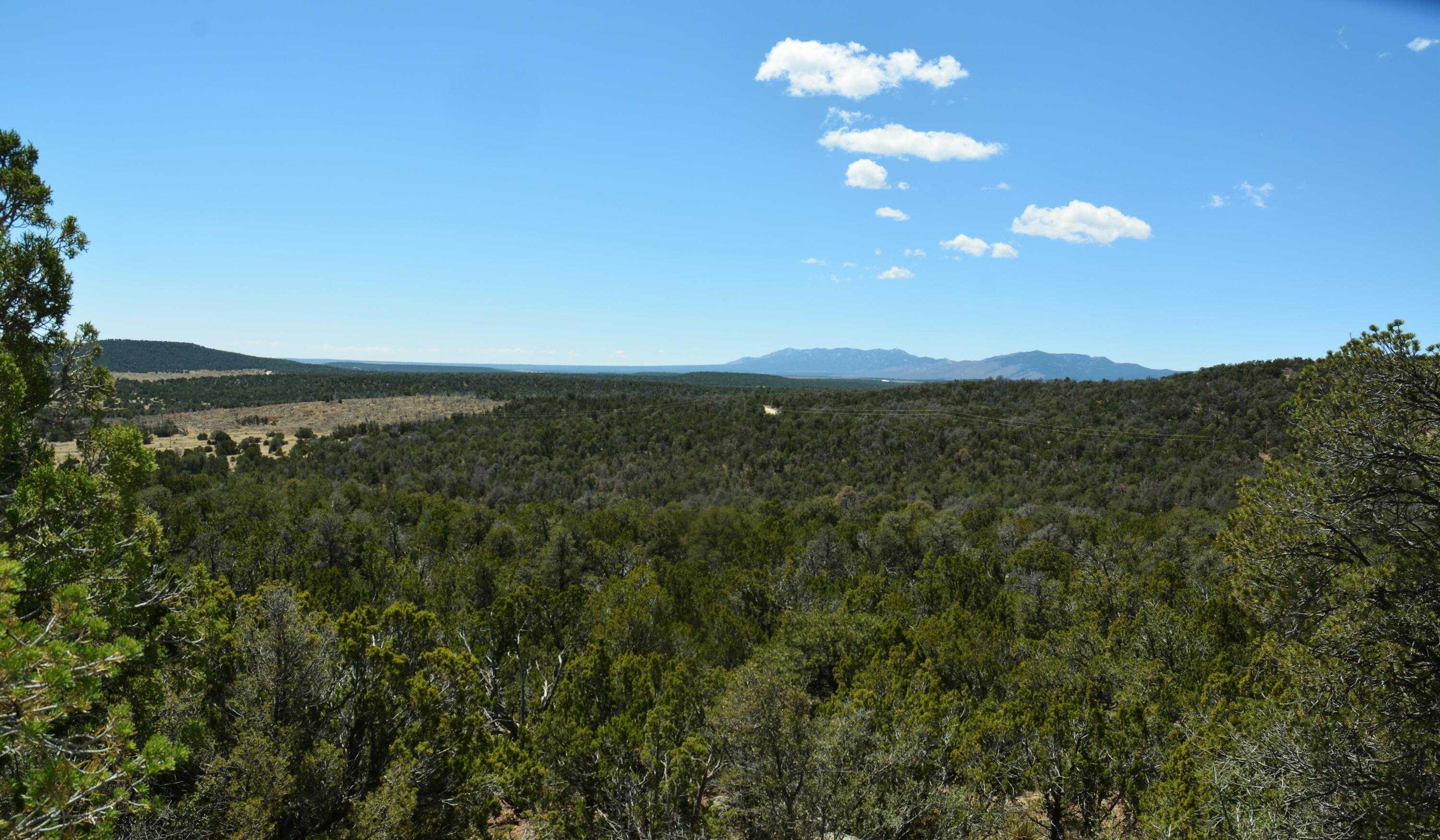 View Estancia, NM 87016 land