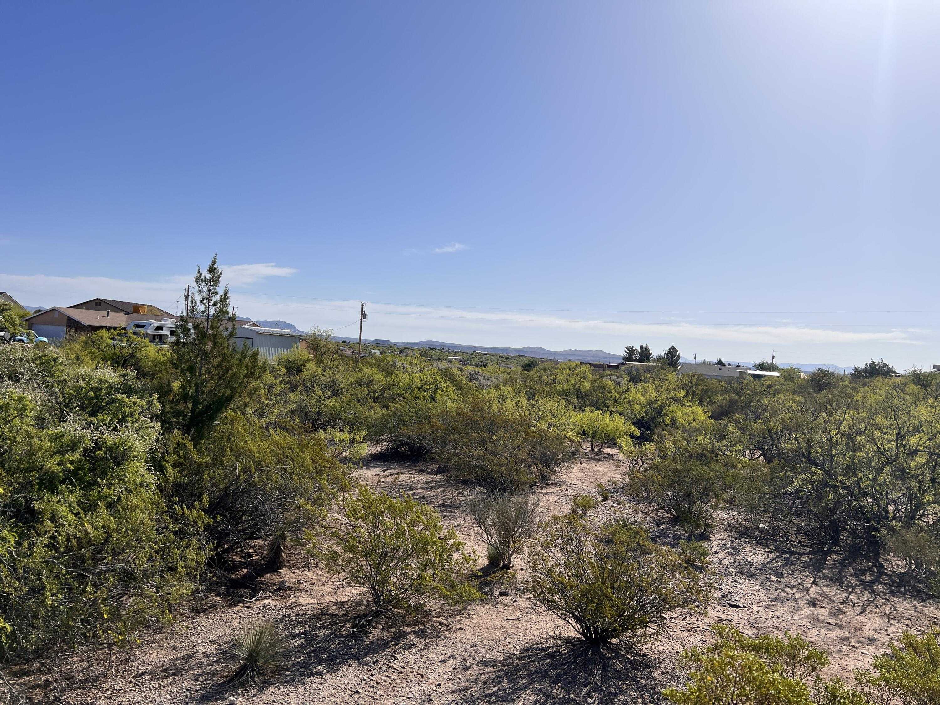 View Elephant Butte, NM 87935 property