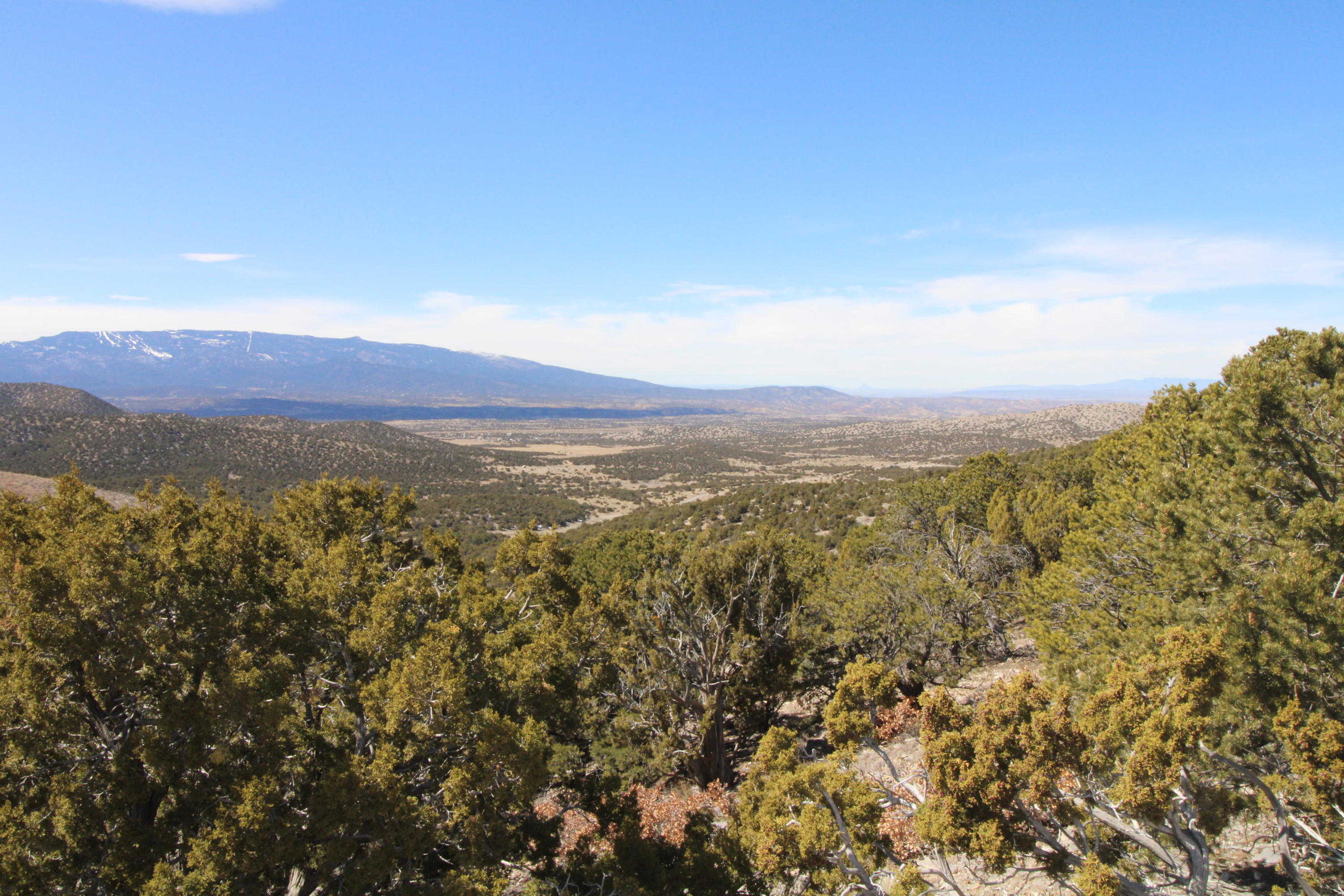 View Sandia Park, NM 87047 property