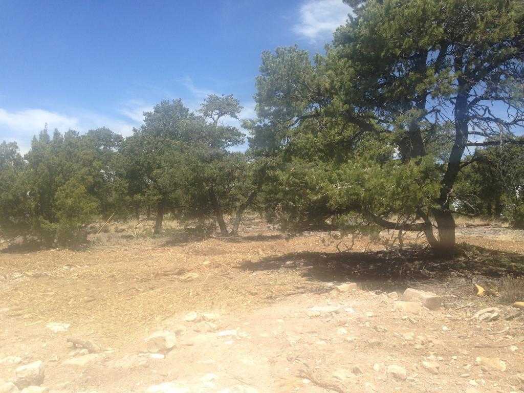 Photo 1 of 11 of 29 Mustang Mesa Trail land