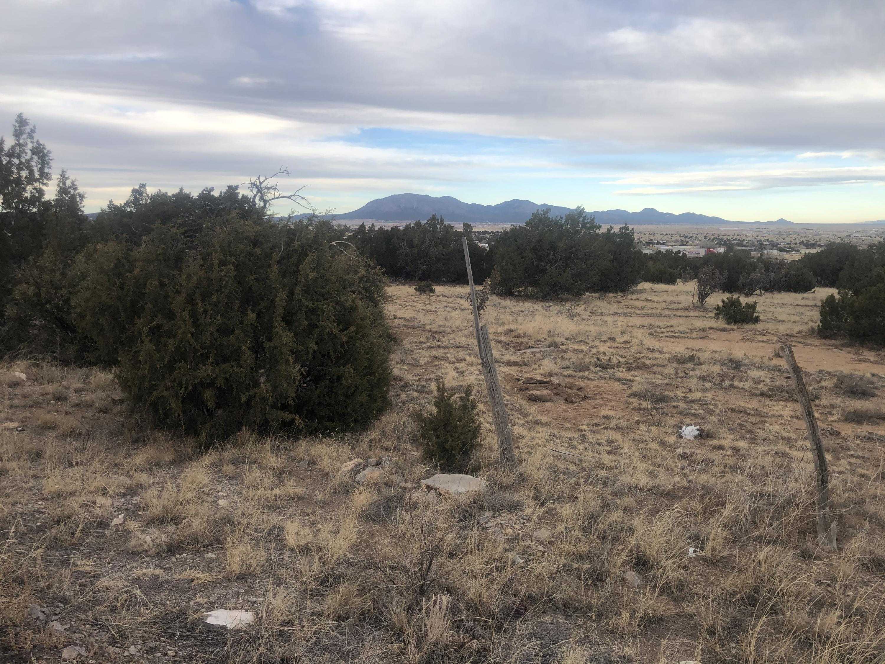 View Edgewood, NM 87015 land