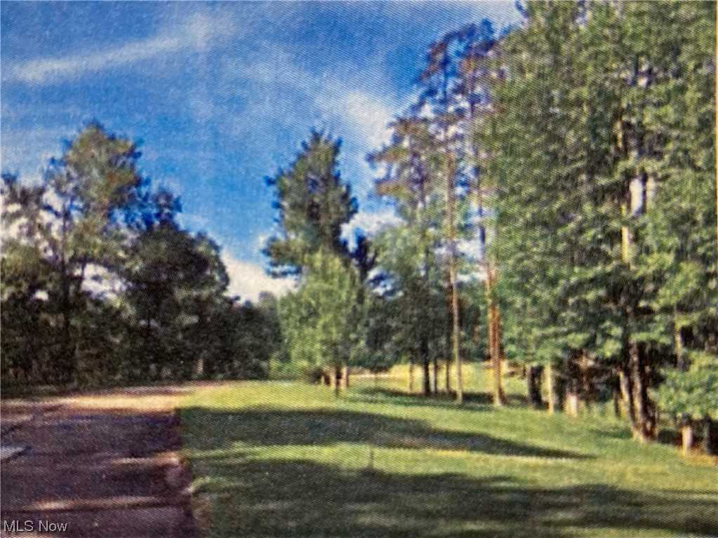Photo 1 of 1 of 5 Skyview Drive land